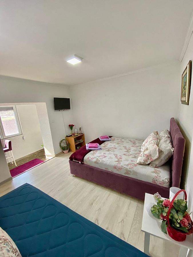 Appartement Jocker *